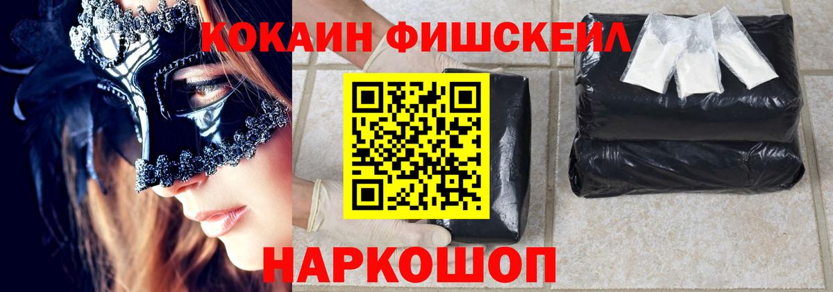 Кокаин Fish Scale  Гатчина  где продают наркотики  COCAIN FishScale 