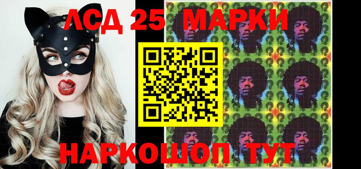 Галлюциногенные грибы Гатчина