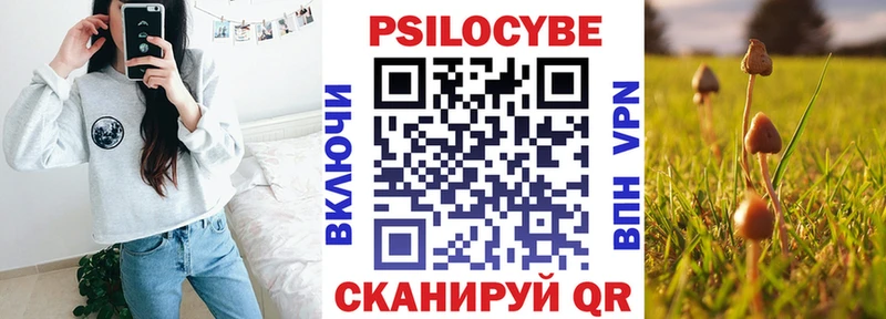 Галлюциногенные грибы прущие грибы нарко площадка официальный сайт Гатчина
