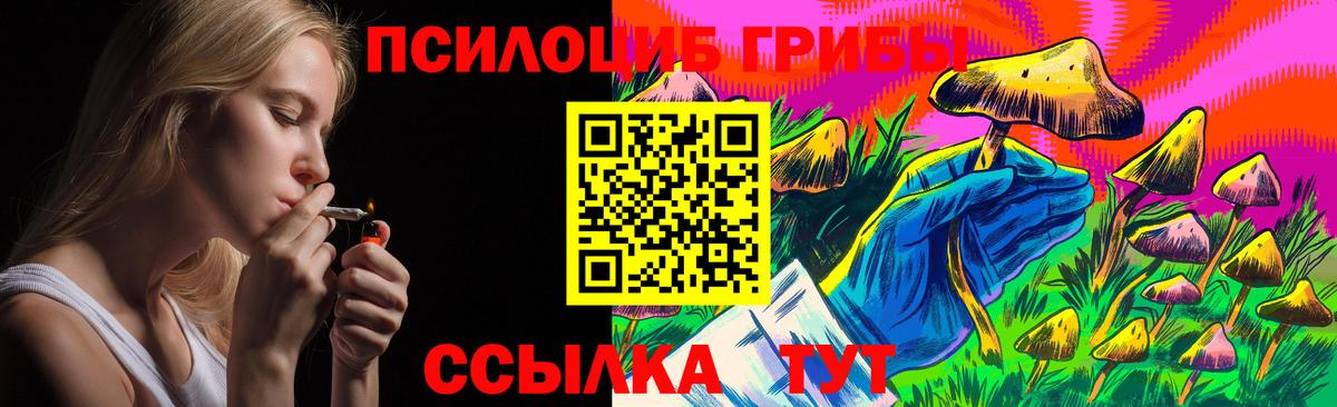 Псилоцибиновые грибы мицелий Гатчина