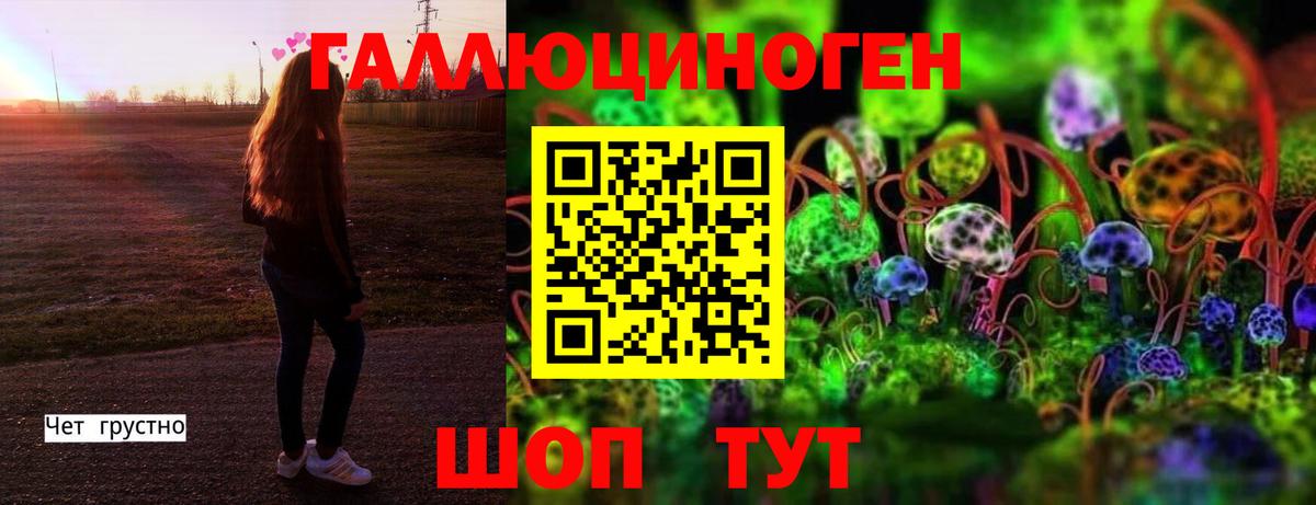 Галлюциногенные грибы прущие грибы Гатчина