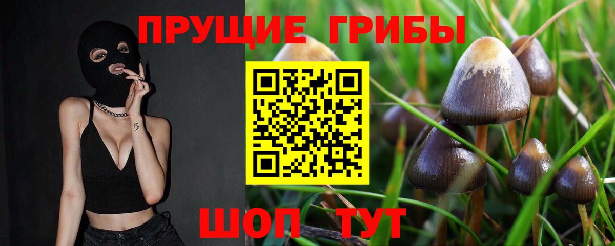 Гатчина  Галлюциногенные грибы Magic Shrooms  Вход с VPN 