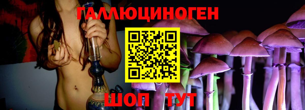 МАРИХУАНА  Хэш  Бошки Шишки  Вход с VPN  МЕТ  Cocaine  Купить наркотики цена  Гатчина  Диски  Мефедрон  Мяу-Мяу 